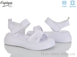 купить Dageni F231-2 оптом