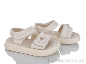 купить KIMBOO XD607-2M оптом