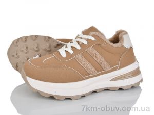 купить Baolikang G25-3 оптом