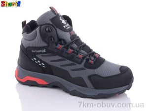 купить Sharif K2108-6 оптом