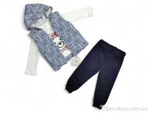 купить Kids-modnik 3210 блакитний жилетка-реглан-штани оптом