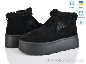 купить Stella Y16 ч.з. оптом