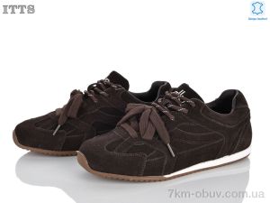 купить ITTS SV257-41 оптом