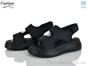 купить Dageni F29-1 оптом