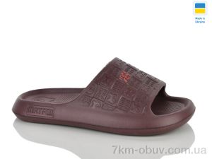 купить Golden Lion N144 коричневий оптом