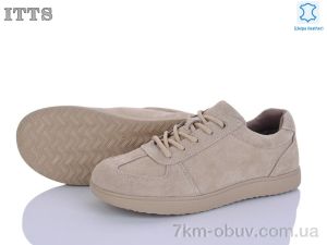 купить ITTS CK19-5 оптом