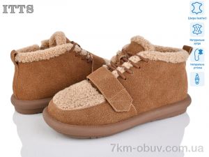 купить ITTS DX13-45 оптом