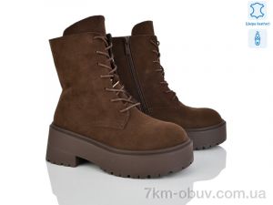 купить Violeta E5251-6 оптом