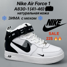 купить Pet A830-1 оптом