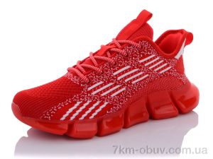 купить оптом Veer-Demax B3341-5