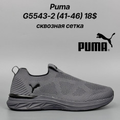 купить оптом Classica G5543-2