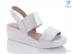 купить MOLO 953L-5 оптом