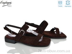 купить Dageni F248-9 оптом