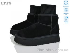 купить ITTS F249-1 оптом
