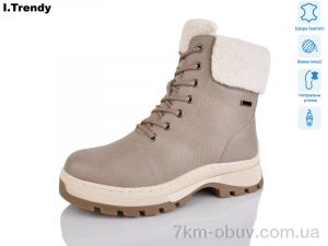 купить Trendy DH3332-18 оптом