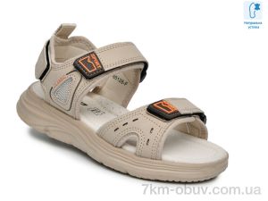 купить TOM.M F65128F оптом