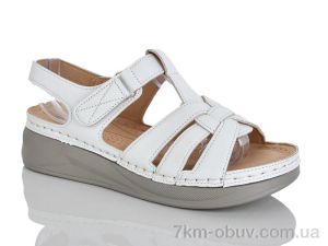 купить Leguzaza 728-2 оптом