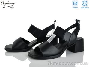 купить Dageni F22196-1 оптом