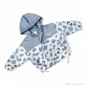 купить Kids-modnik 17313 сірий оптом