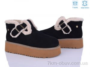 купить Svit W1 оптом