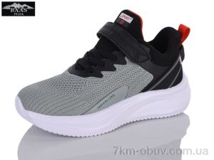 купить Baas K6617-2 оптом