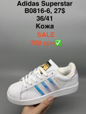 купить Pet B0816-6 оптом