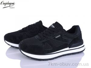 купить Dageni C889-1 оптом