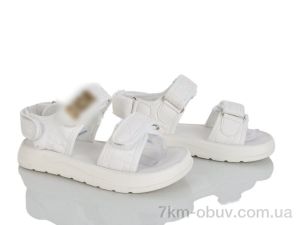 купить KIMBOO XD601-3C оптом