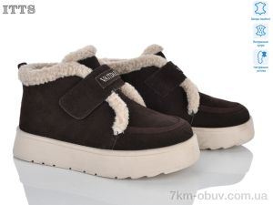 купить ITTS DD7637-41 оптом