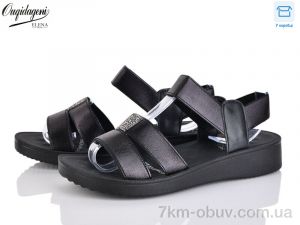 купить Dageni B4-1 оптом