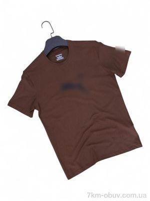 купить Said 002-14 brown оптом