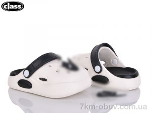 купить Wei Wei-Class 221-2-old оптом