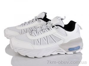 купить Moli B206-2 оптом