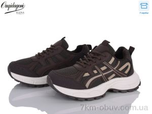 купить оптом Dageni A6008-5