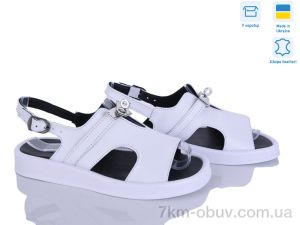 купить Ailinda 1371-8 оптом