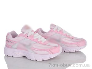 купить Olimp B401-9 оптом