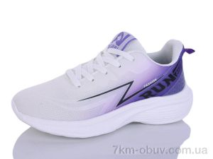 купить Ditof B0092-3 оптом