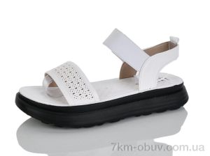 купить оптом Lilin 16-6