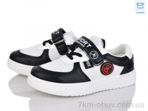 купить FG TS100-1 оптом