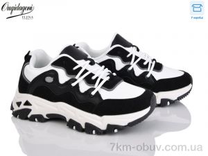 купить Dageni B887-1 оптом