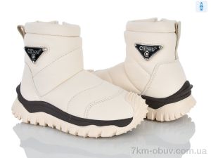 купить Clibee-ShoSho HB549 rice оптом