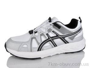 купить Moli A8022-5 оптом