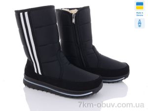 купить Paolla 3105 чорний оптом