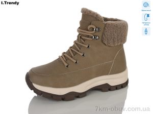 купить Trendy DH5003-3 оптом