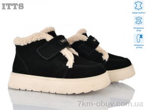купить ITTS DD7637-2 оптом