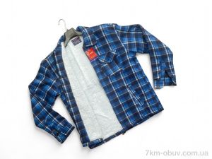 купить Verton 101-5 blue оптом