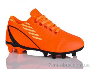 купить ASHIGULI C03-5 (31-36) оптом