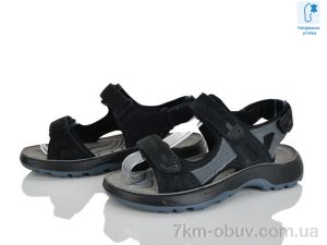 купить оптом KIMBOO T65-4D