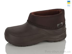 купить Lot Shoes N084 шоколадний оптом