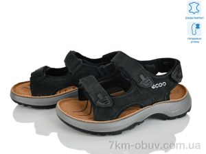 купить оптом KIMBOO T61-3A